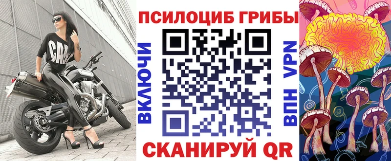 Купить закладки  Саяногорск  Псилоцибиновые грибы Psilocybine cubensis 
